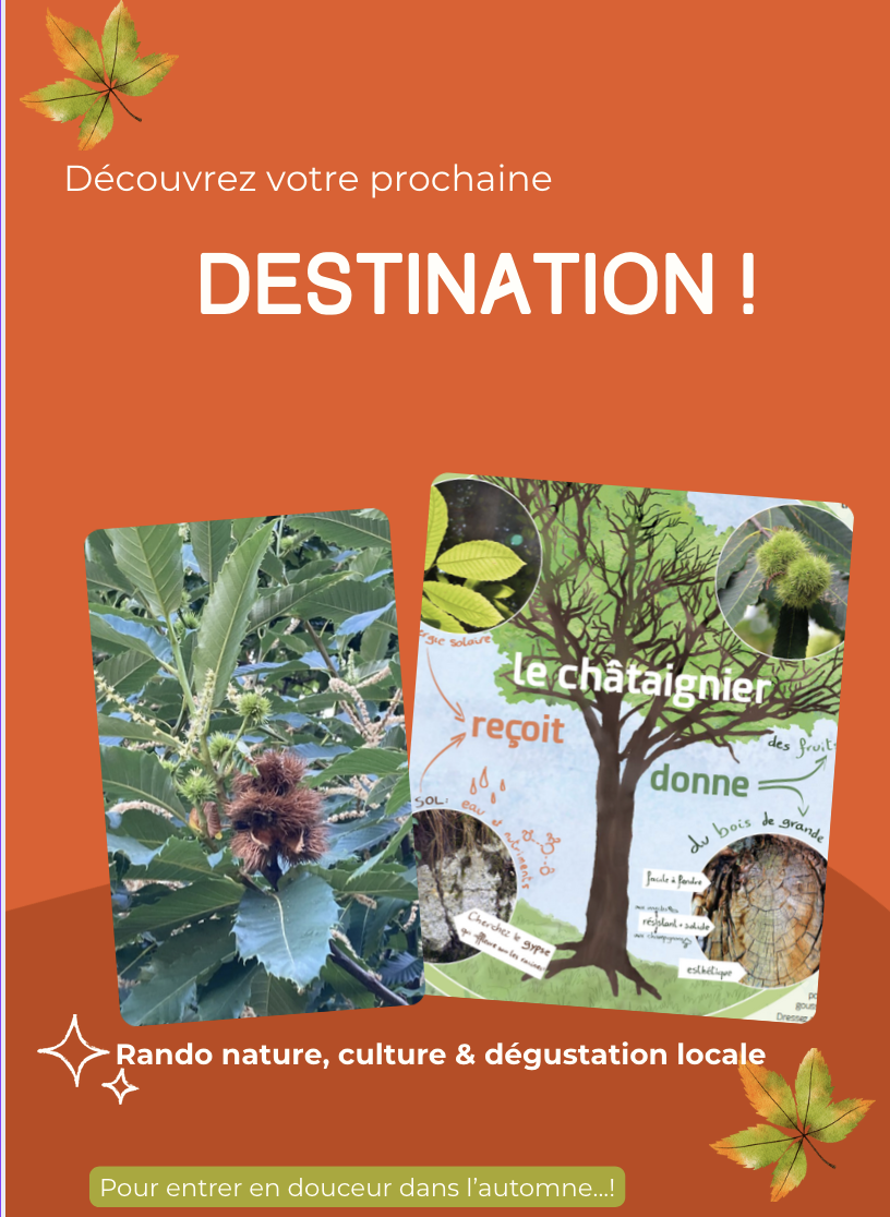 image représentant le programme