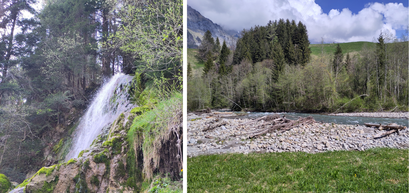 image représentant le programme